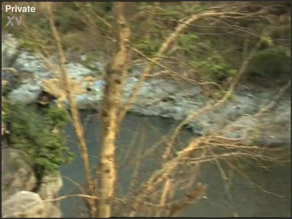 Laurateen alte Latina Gulliana Alexis wird hart durchgebumst