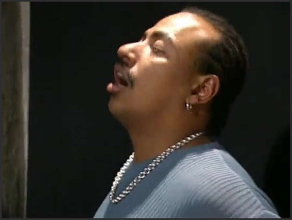 Nicky Reed den Monstertitten wird verdammt hart anal gebumst